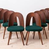Set of 10 Mid Century Dining Chairs by A. Šuman, Reupholstery Options
