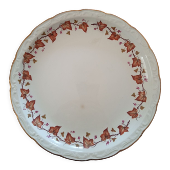 Ivy plate selected by kilt