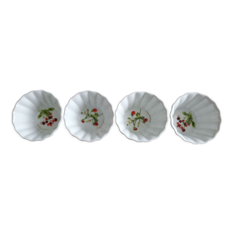 4 Ramekins tognana the terrine Botaniche