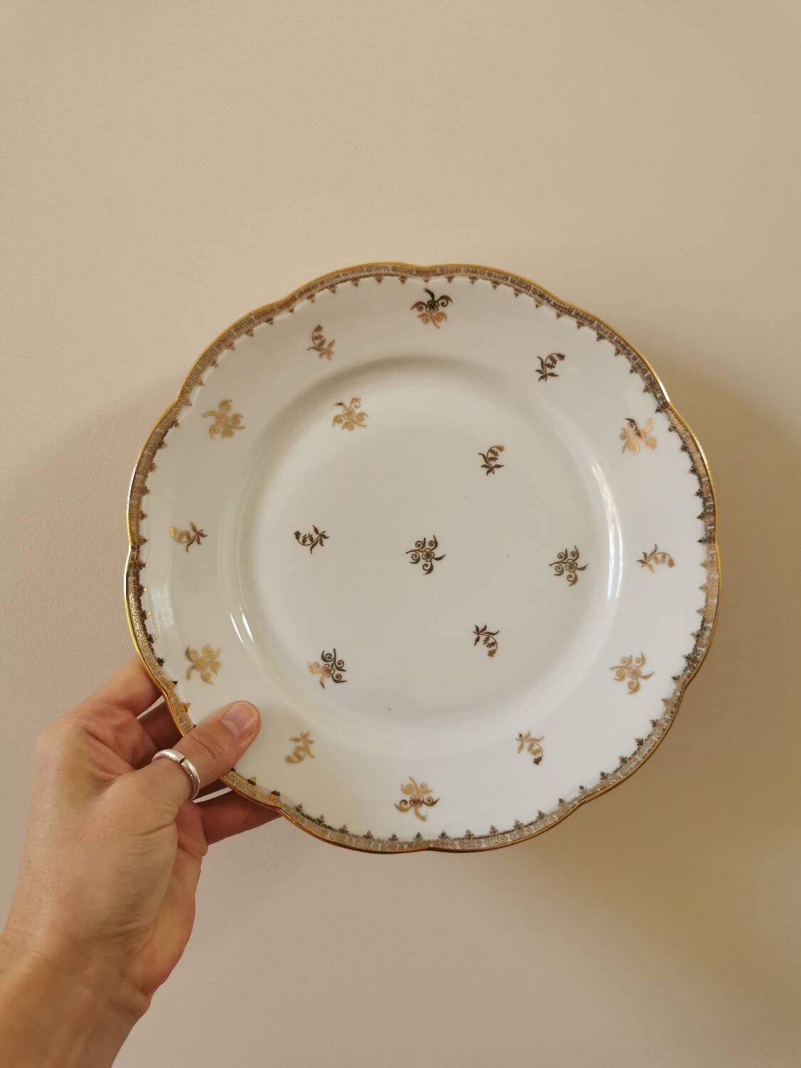 Old SFP porcelain dinner plates