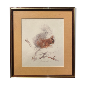 Lithograph of a squirrel on a branch