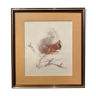 Lithograph of a squirrel on a branch