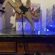 Rider and his horse in enamelled sheet metal rocking