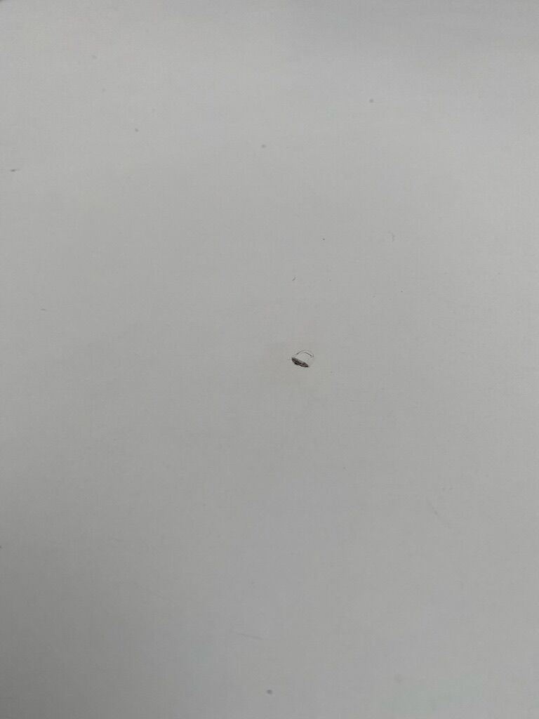 Eero Saarinen's oval tulip table for Knoll