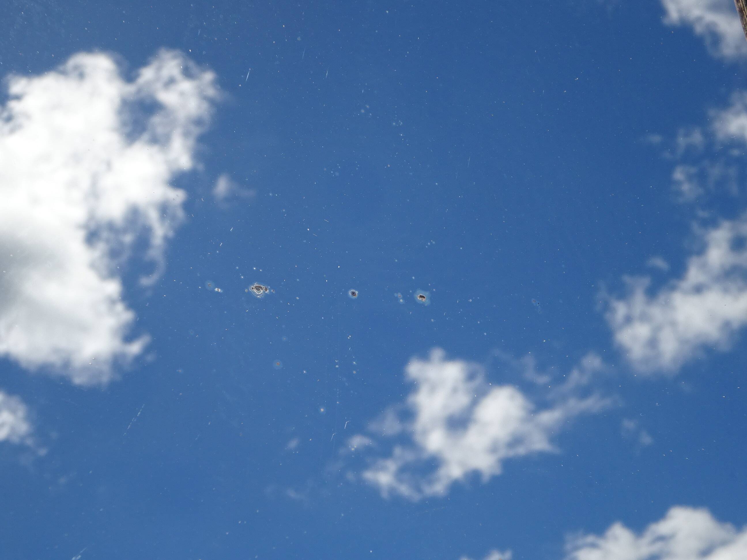 Golden Louis Philippe mirror