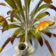 White metal chandelier Italy 60s/70s