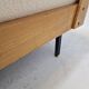 Mid Century Italian Daybed by Gastone Rinaldi for Rima, 1950s