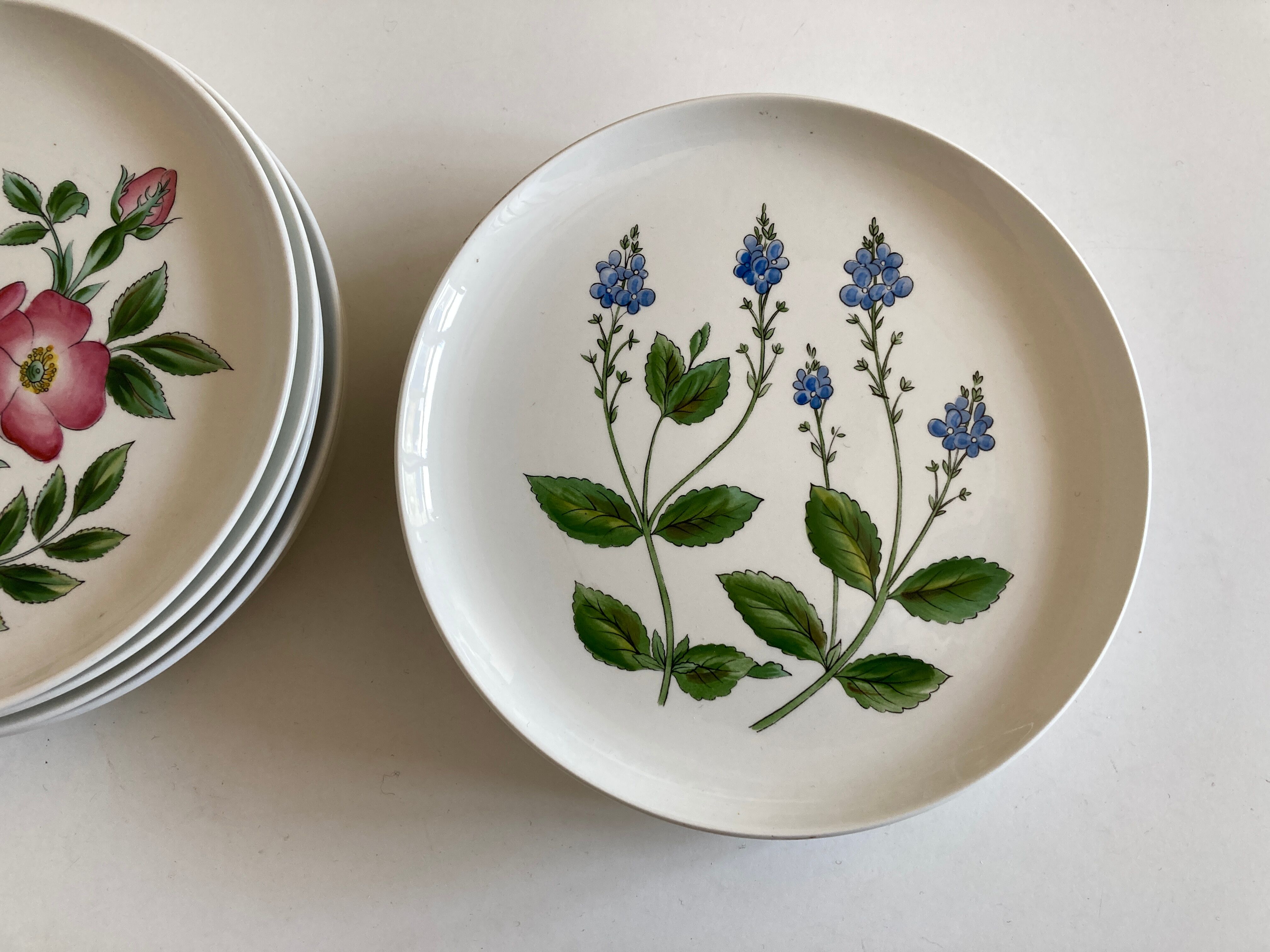 Set 11 assiettes fleurs Rorstrand Sweden Flora 1970