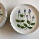 Set 11 assiettes fleurs Rorstrand Sweden Flora 1970