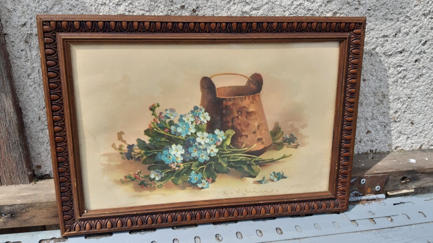 Myosotis flower painting