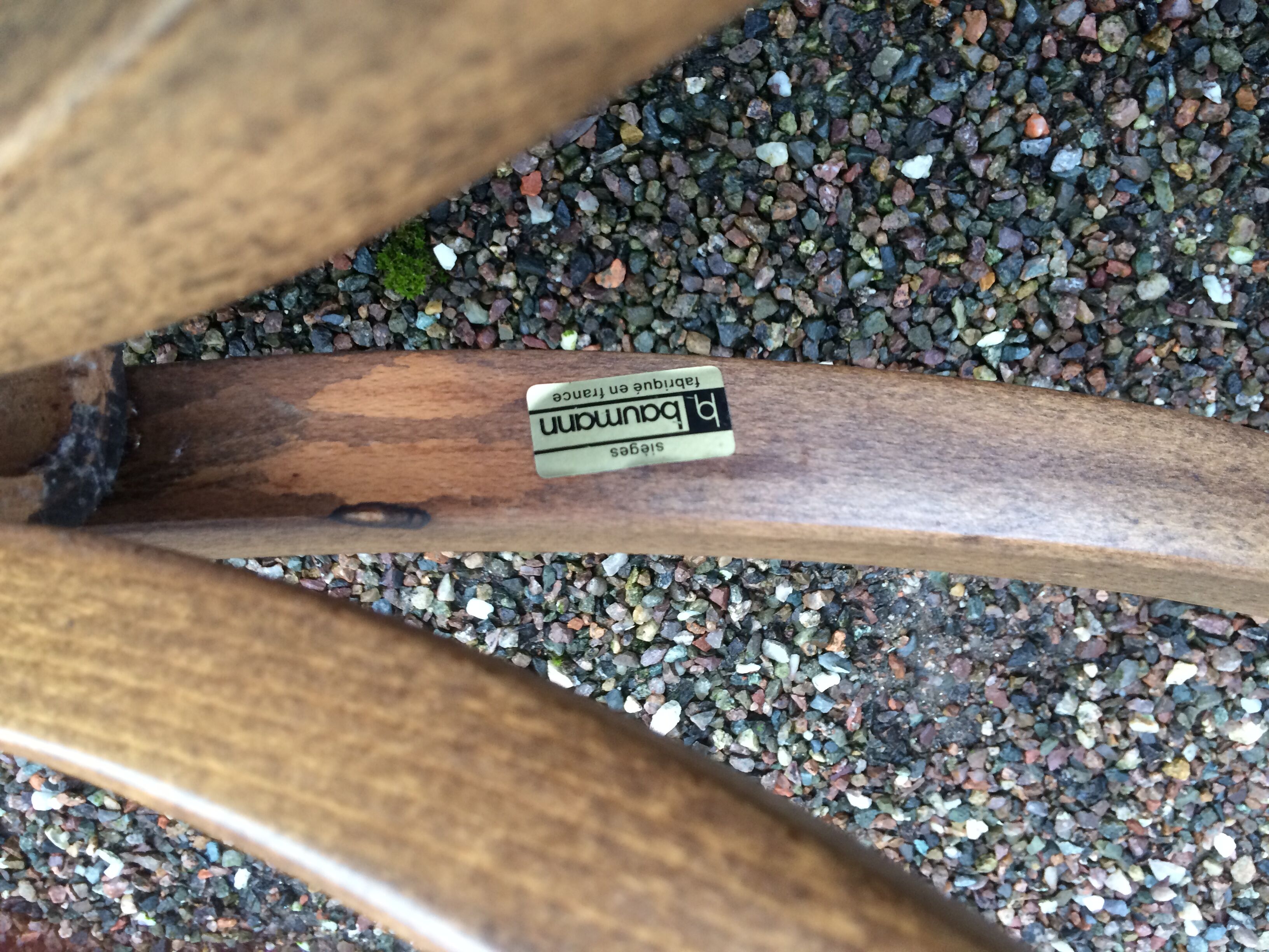 Baumann parrot coat holder