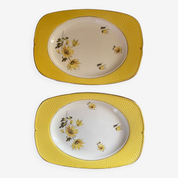 Two Salins dishes France