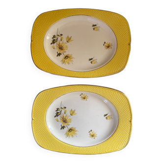 Two Salins dishes France