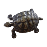 Tortue