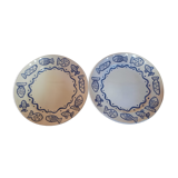 Duo of plates decorated fish