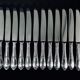 12 ercuis home table knives