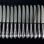 12 ercuis home table knives