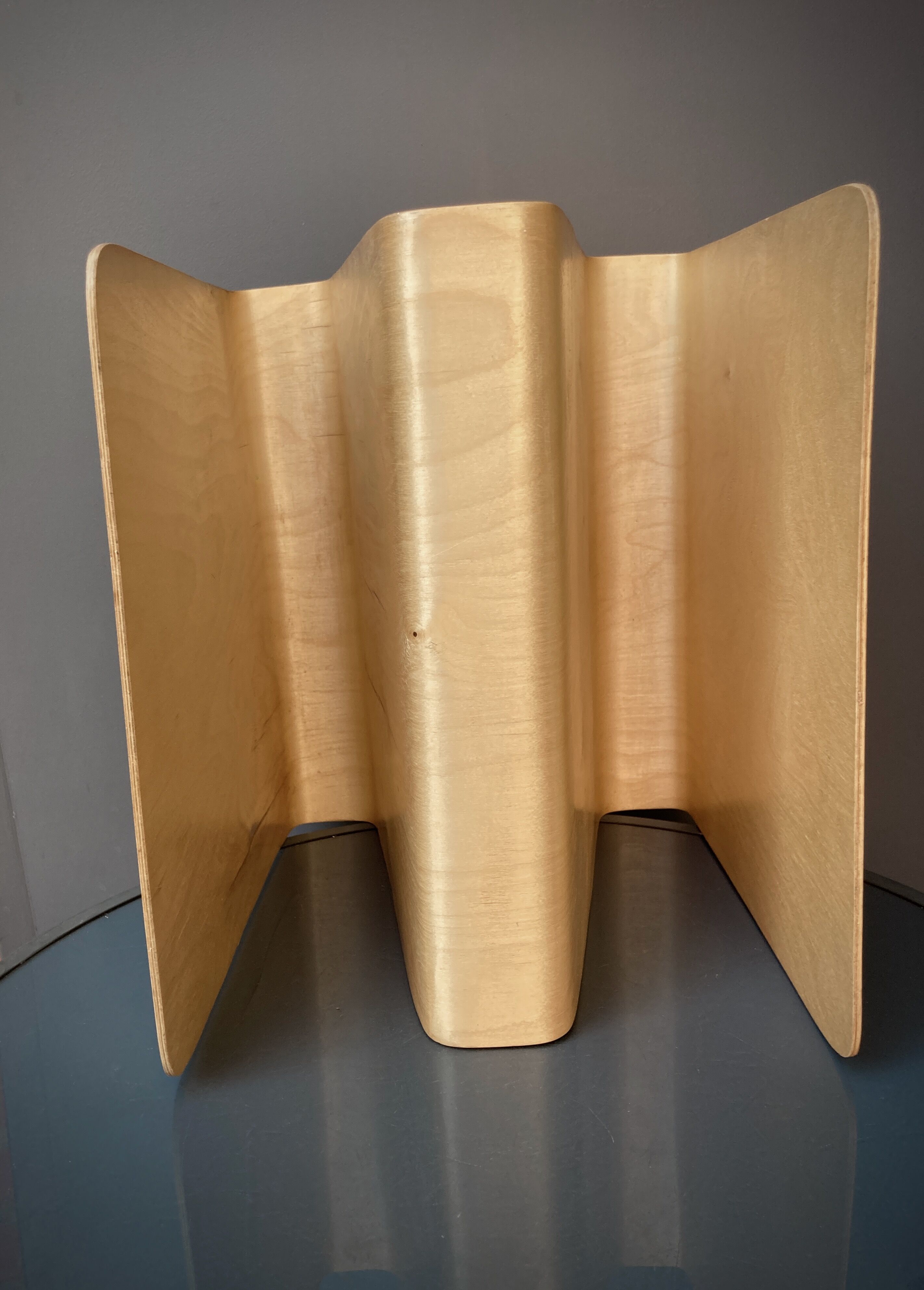 Design magazine holder in thermoformed wood