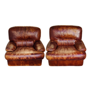 Paire de fauteuils vintage Roche