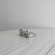Silver plated duck shaped salt and pepper shakers