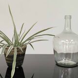 Dame Jeanne vintage transparent glass carboy 25cm