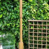 Baumann wooden parrot coat rack