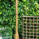 Baumann wooden parrot coat rack