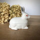 Caugant rabbit terrine