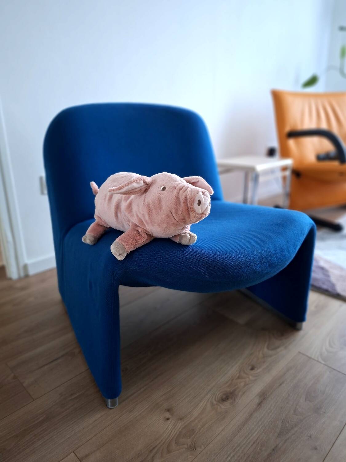 Alky fireside chair Giancarlo Piretti