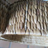 Round snail spiral shelf in sea rush