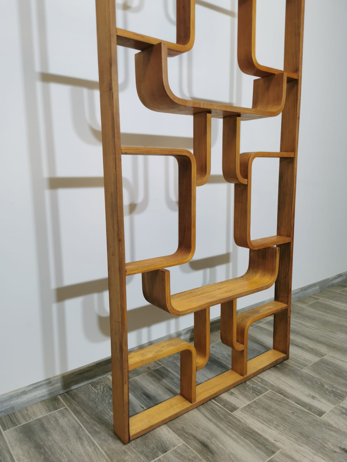 Room Divider by Ludvik Volak for Drevopodnik Holesov