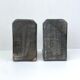 Pair of greenhouse book - Gothic theme gargoyle Middle Ages Chimera