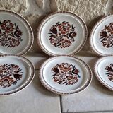 6 grandes assiettes à fleurs tons marron