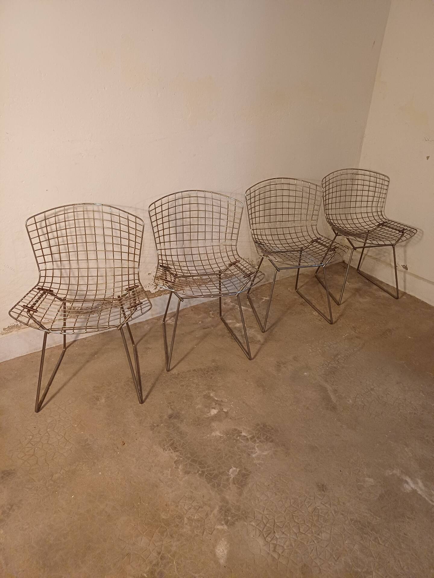 Série de 4 chaises Harry Bertoia
