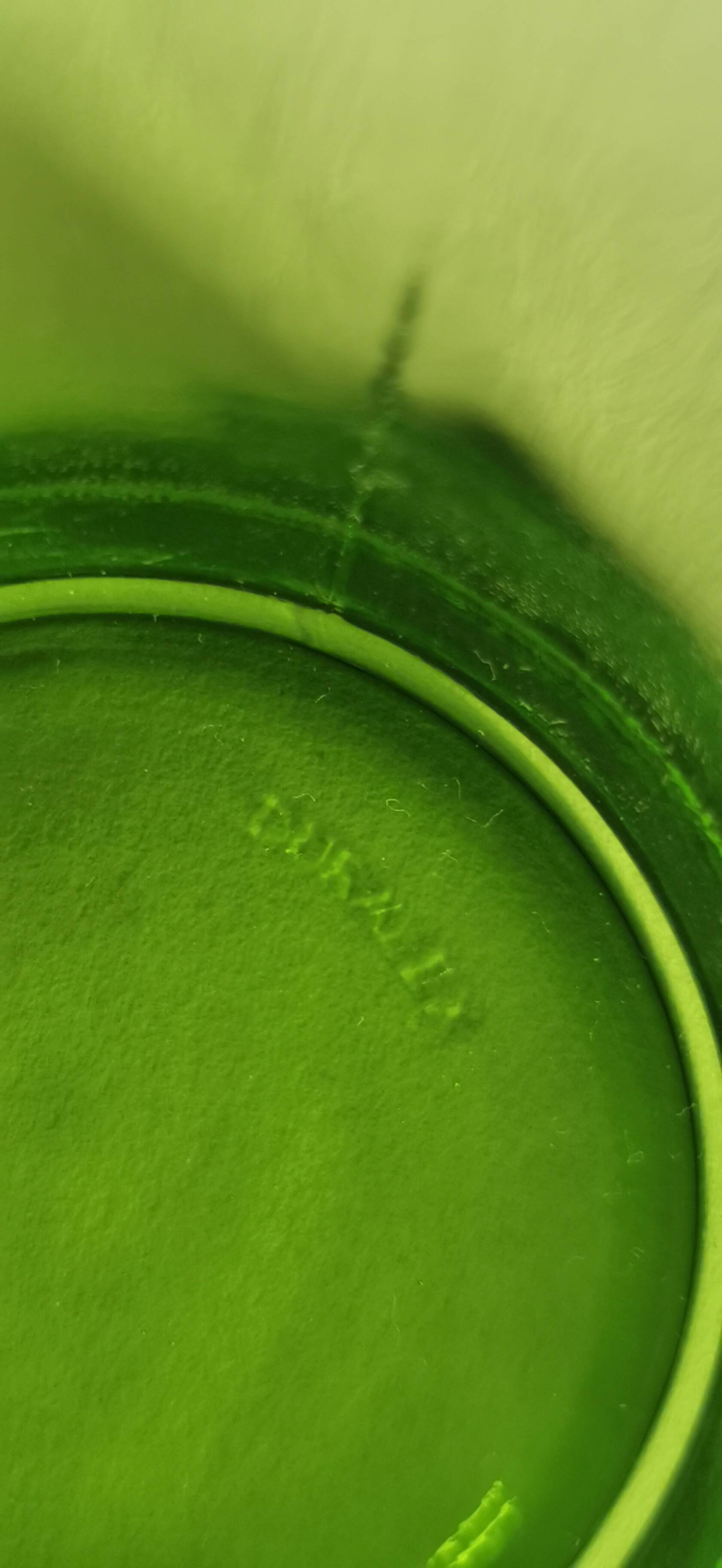 Set of 6 Duralex mugs