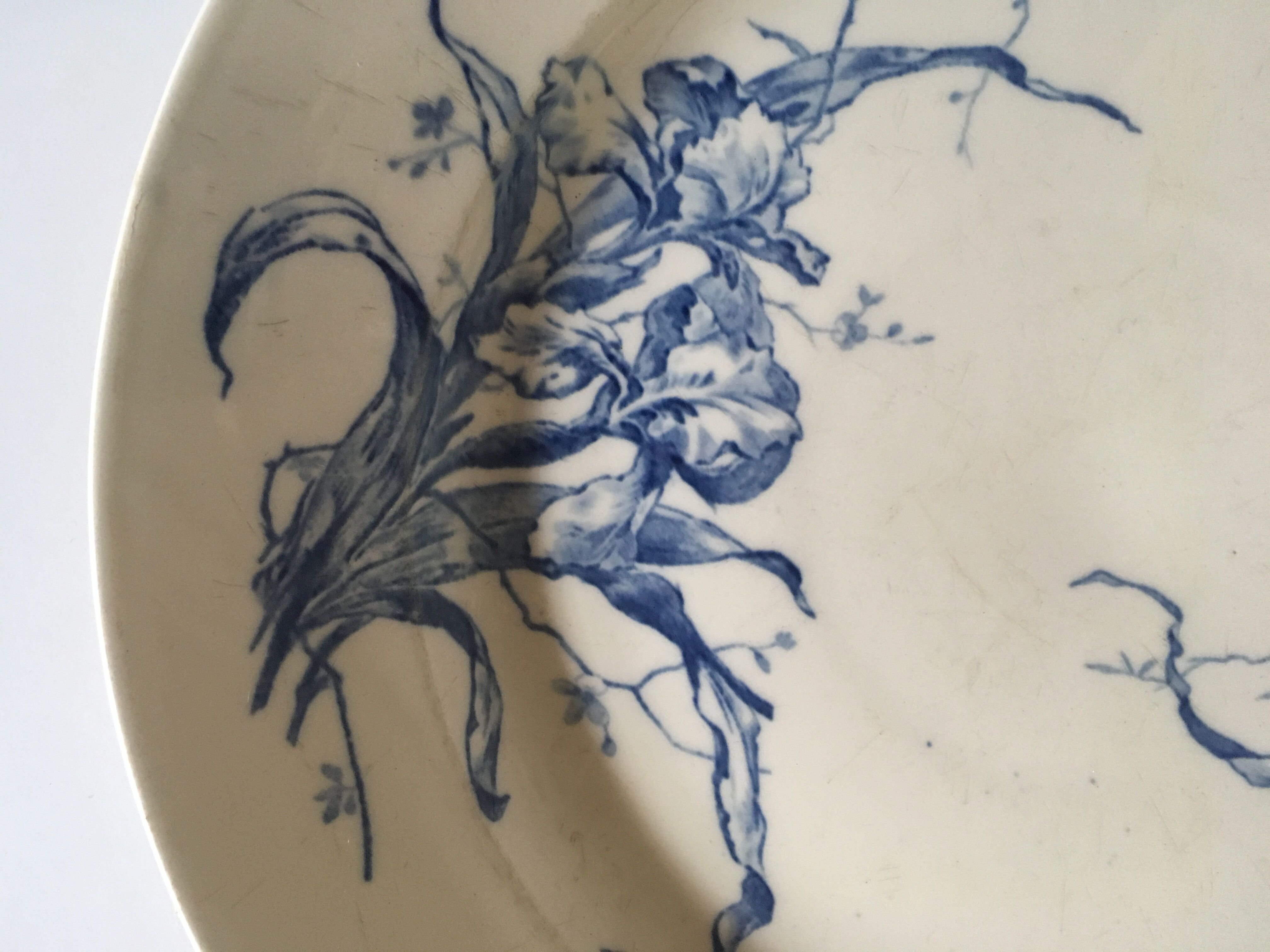 Gien Iris 19th-19th-seeded flower and dragonfly dish