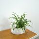 vintage porcelain flower pot in the shape of a swan
