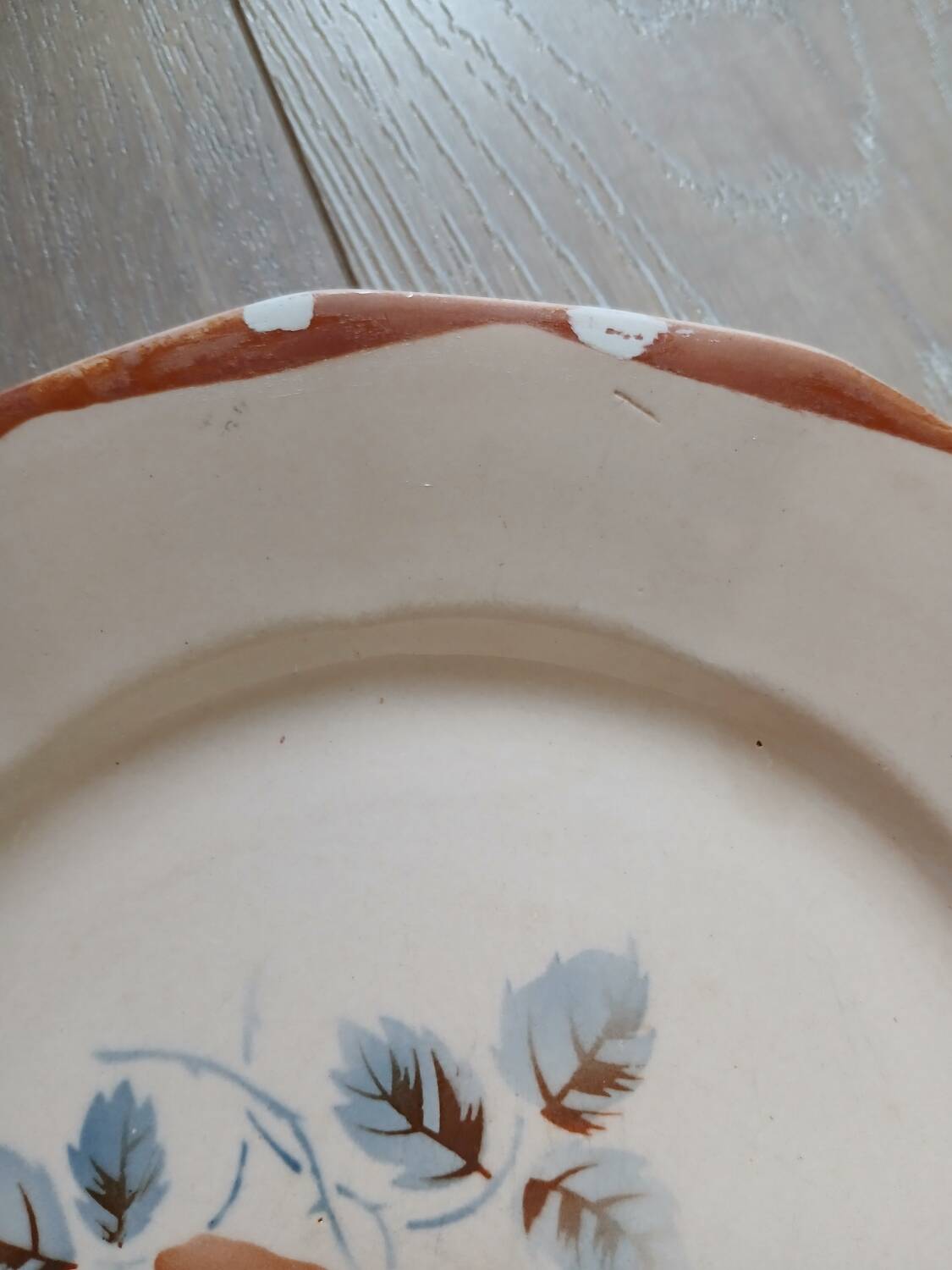25 old Digoin and Sarreguemines plates
