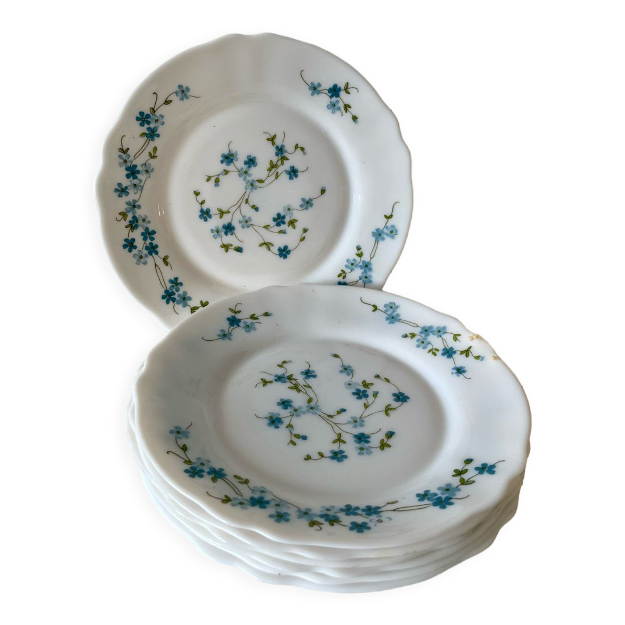 Myosotis dessert plates