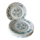 Myosotis dessert plates