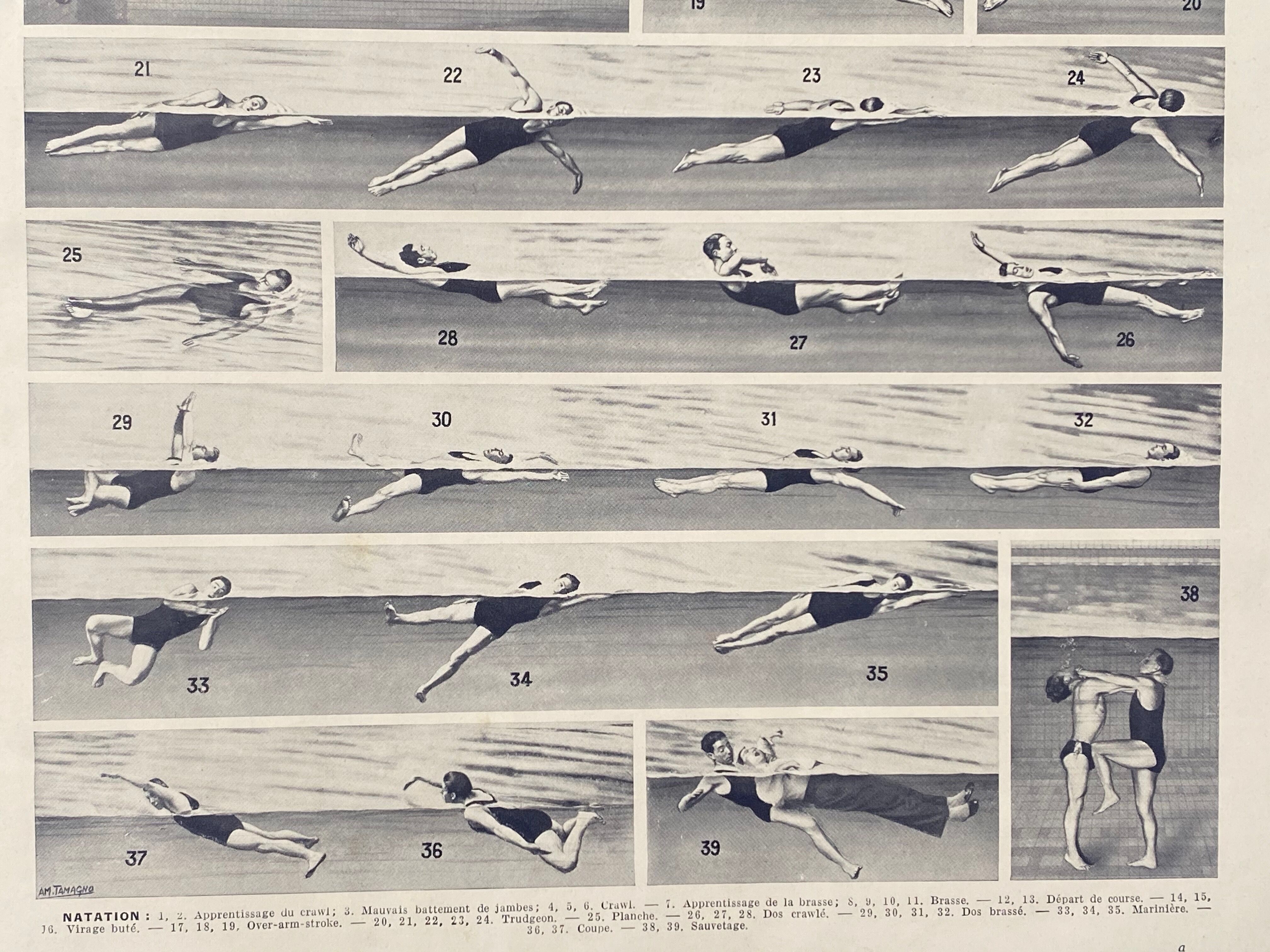 Former illustration Larousse "Swimming"