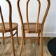 Set of 4 cane chairs in bentwood and honey-coloured cane thonet early 20th century