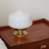 Opal globe installation lamp