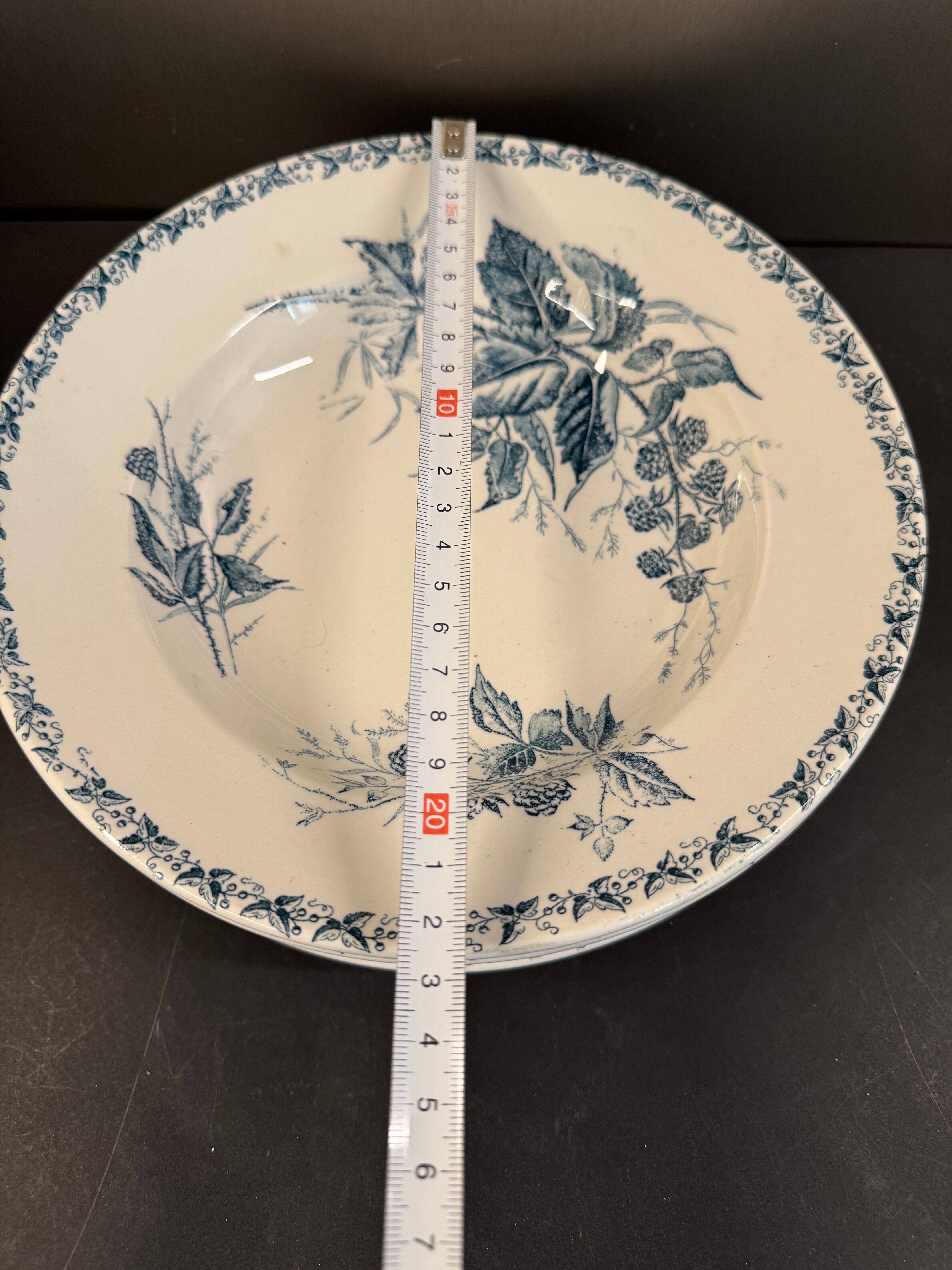 6 deep plates in ironstone "Mûre" Badonviller
