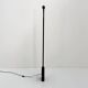 Black Uno floor lamp by Gian N. Gigante for Zerbetto, 1980