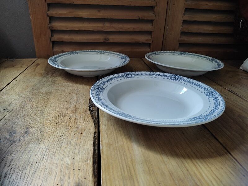 Hollow plates Porcelain Sarreguemines Carina