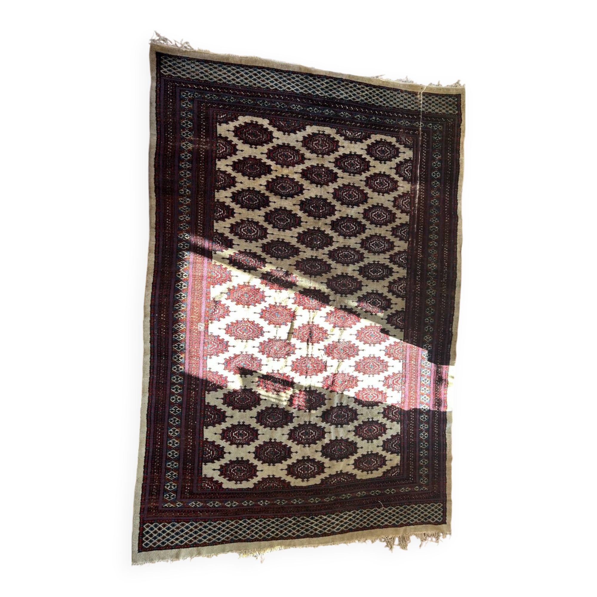 Bukhara carpet Afghanistan