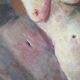 Huile sur toile / nu années 1900-20