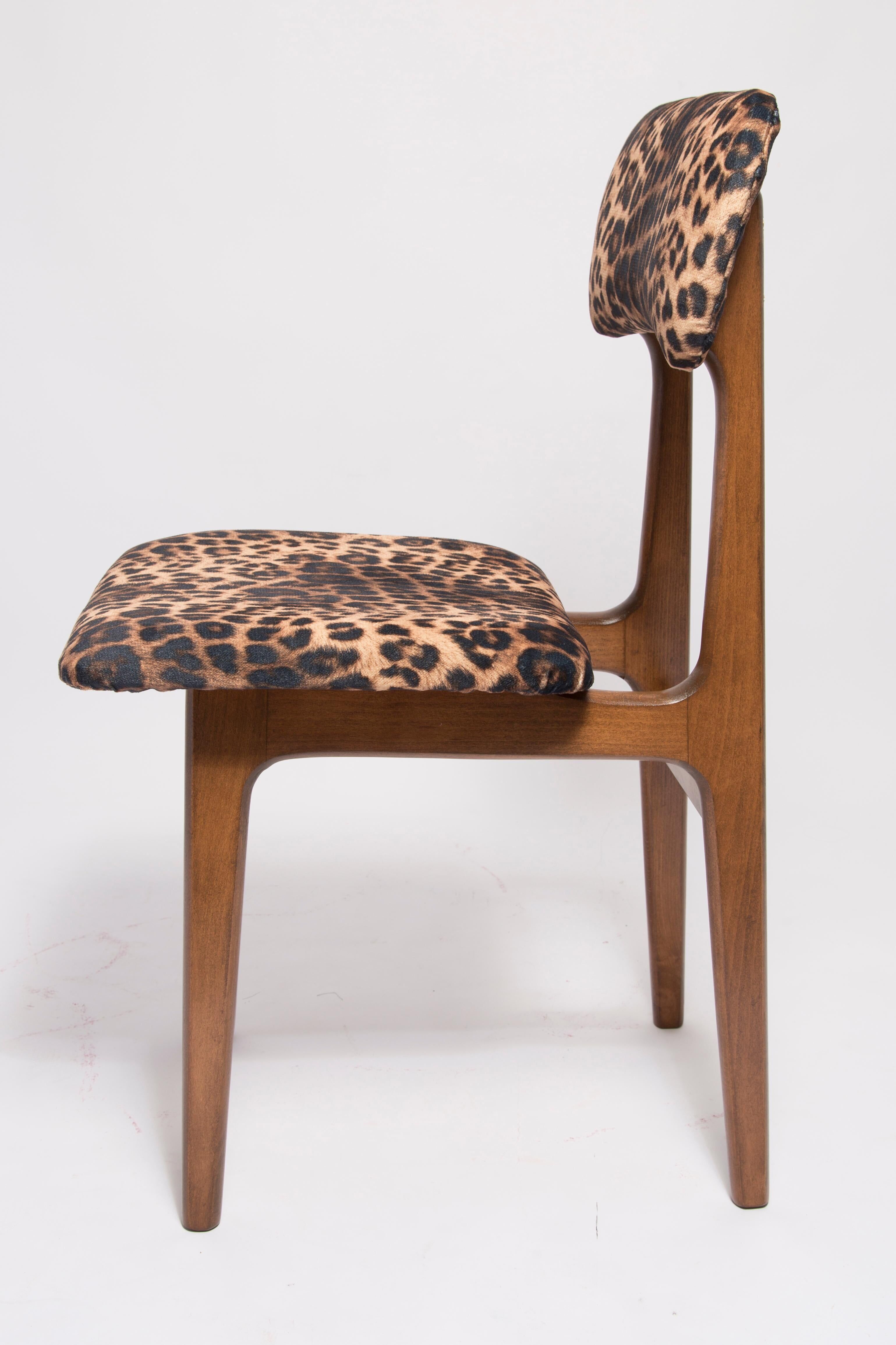 Mid-century leopard velvet chair, beech wood, Rajmund Halas, Poland, 1960s