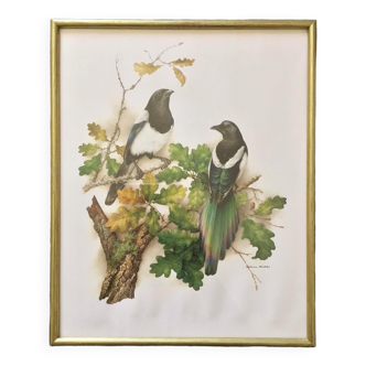 Vintage frame lithograph magpie birds